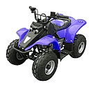 Mini ATV at_g02